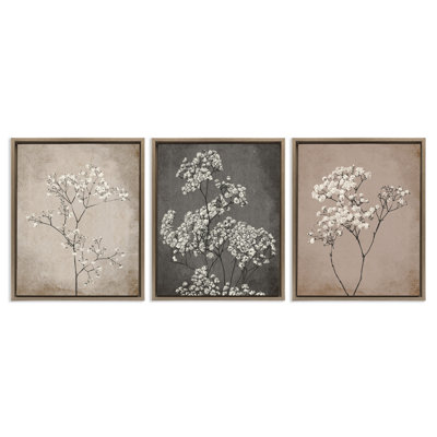 «Botanical Baby's Breath Herbs», ensemble de 3 toiles flottantes encadrées par Ros Ruseva