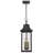 Alden 3 - Light Lantern Pendant
