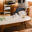 Blanc / pierre frittée couleur bois de cerisier + table basse ovale en bois massif-109242846