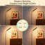165cm Powder Coated LED Task Floor Lamp