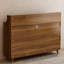 Chinese style large capacity shoe cabinet
