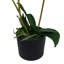Plastic, Silk Artificial Arrangement in Pot
