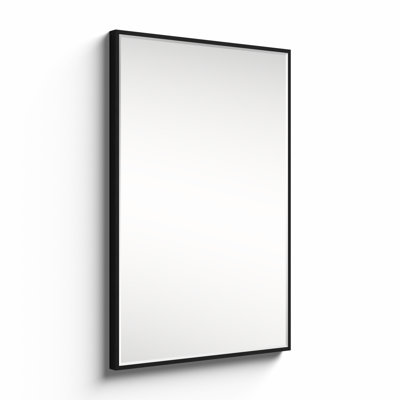 Mercury Row® Buschwick Flat Wall Mirror & Reviews | Wayfair