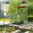 6 Ft. X 10 Ft. Aluminum Polycarbonate Walk-In Greenhouse-107134229
