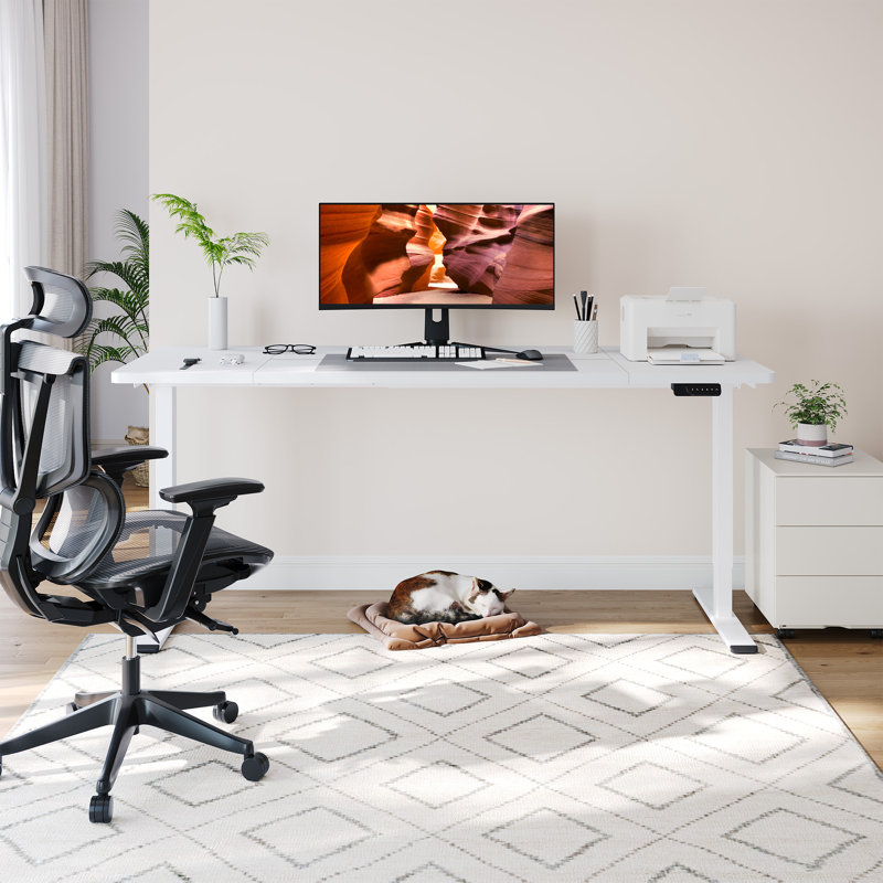 Large Dual Motor Electric Standing Desk With Memory Controller, 47.6" H x 79" W x 32" D, White, White