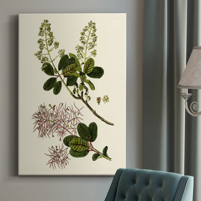 " Olive Greenery I " Painting Print