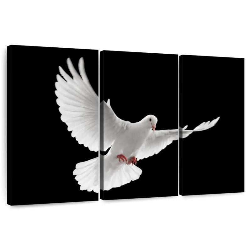 Brampt Flying White Dove, 48" H x 74" W