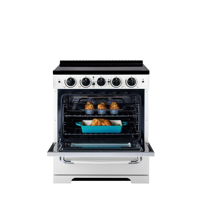 Unique 30' Classic Retro Induction Range, Summer, White