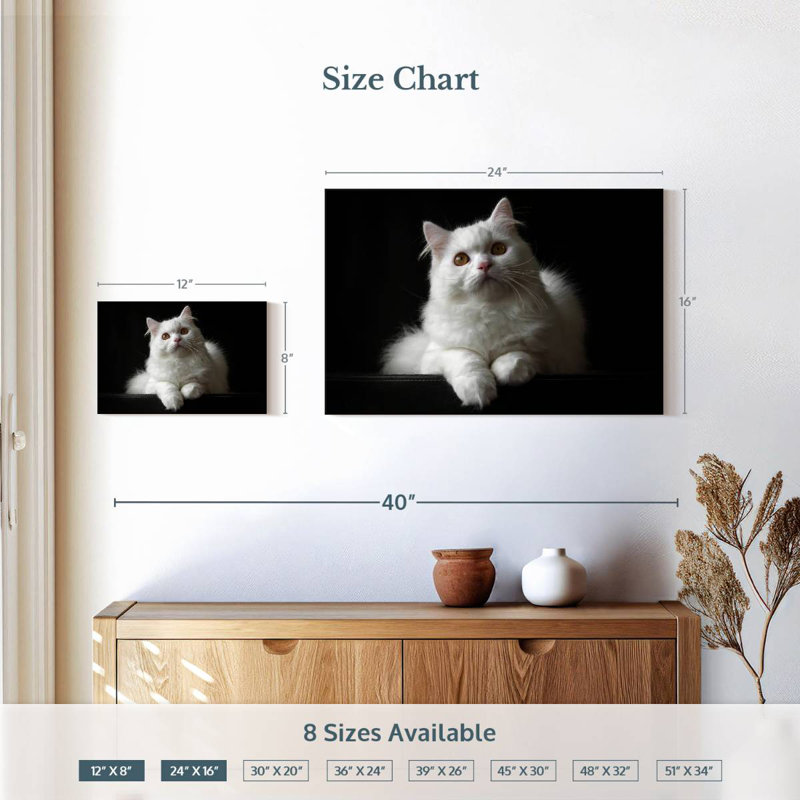 White Persian Cat, 16" H x 24" W