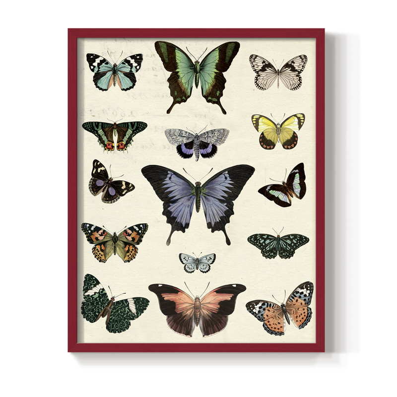«Flutterbys II», reproduction encadrée - bois massif, H 15 po x l 12 po, Rouge