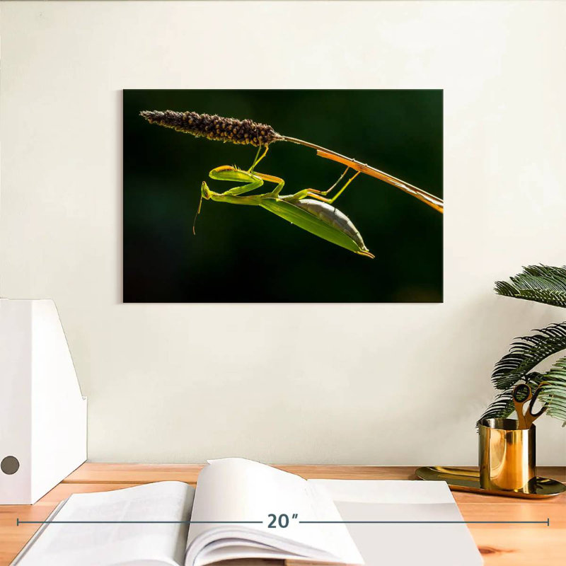 Hanging Praying Mantis, 8" H x 12" W