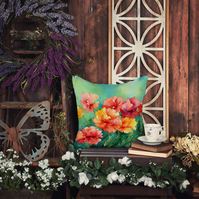 Coussin Ohio