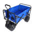 Chariots de jardinage de plage