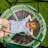  FlyMax Saucer Tree Swing with Tent, 39" Round Platform for Kids, Green