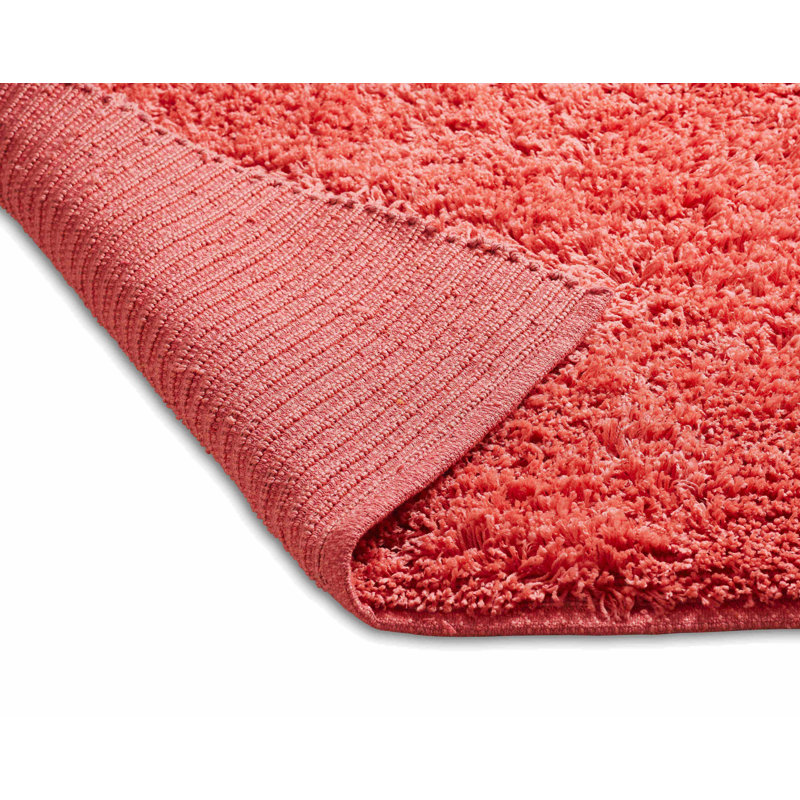 Hayner Indoor Rug, 5' x 7'