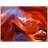 " Lower Antelope Canyon "-178913907