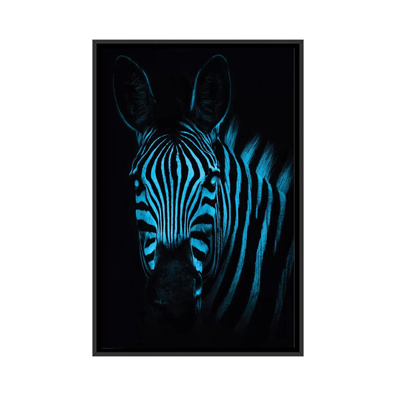 Cool Zebra by Paul Haag - Print on Canvas, Black Framed, 66.04 cm H x 45.72 cm W