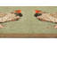Non-Slip My Chickens Indoor Doormat