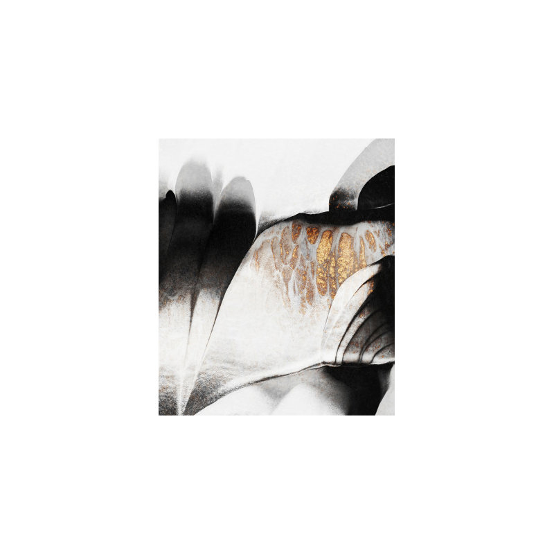 Wrapped Canvas Print, 81.28 cm H x 121.92 cm W