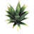 Artificial 6" Tall Artificial Succulent Plant