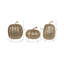Ensemble de citrouilles scintillantes 8 po-1486179780