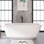 Baignoire de trempage autoportante en acrylique 67 po