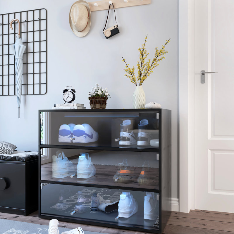 Porte-chaussures de porte en verre noir avec contenant à DEL, pratique et décoratif