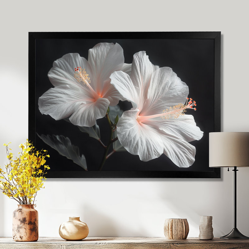 Hibiscus blanc botanique blanc cristal - Hibiscus, reproduction d'art murale, Toile encadrée noire simple