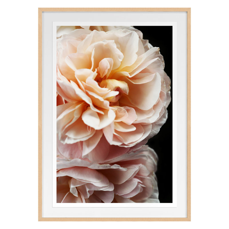 Floribunda II Print by Alicia Bock, Maple Framed, 42" H x 30" W