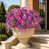 Mixed-colour style #A3 est en rupture de stock