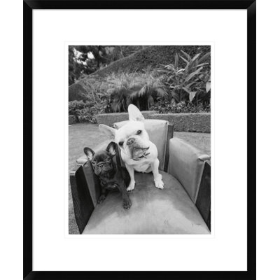 " Always Friends " by Jim Dratfield