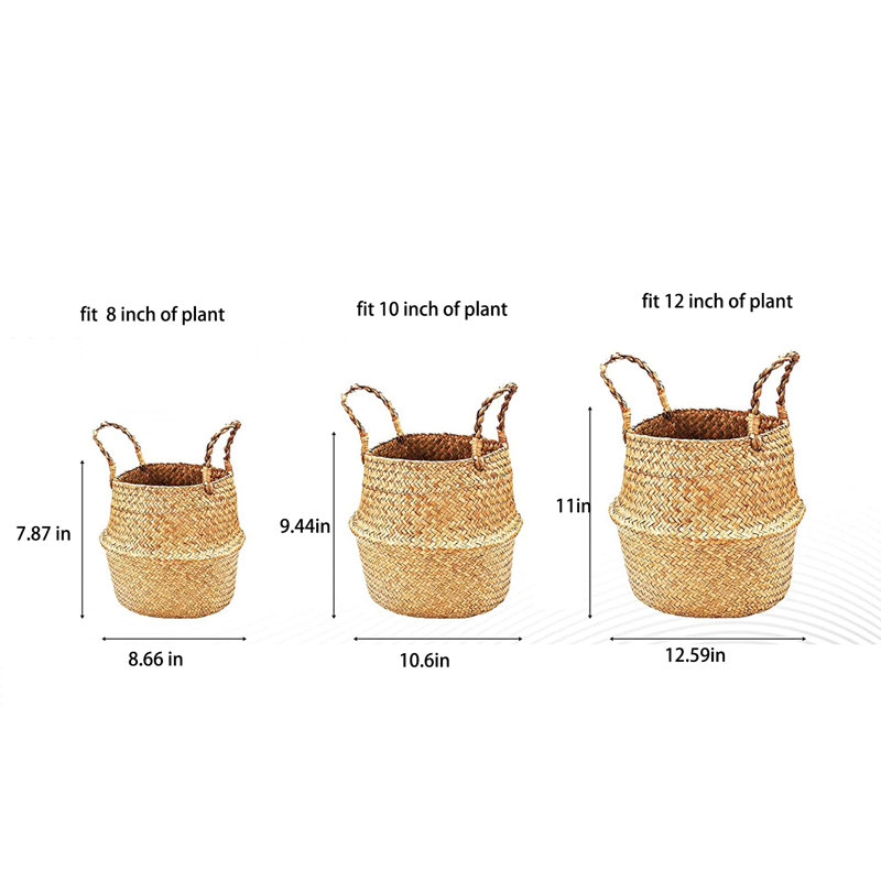 Panier de ruppie maritime, H 11 po x l 12,59 po x P 12,59 po