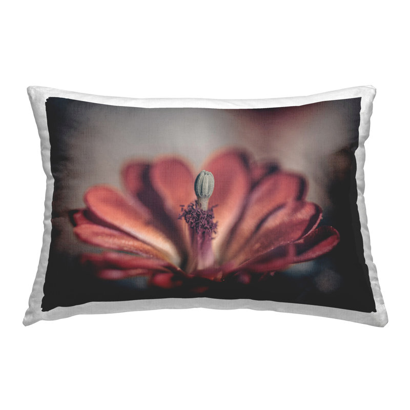 Coussin décoratif imprimé rouge «Red Elevation Bloom» par Nathan Larson