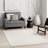 Clennie Geometric Maze Tasseled Area Rug-738422109