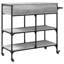 Northport Metal Bar Cart