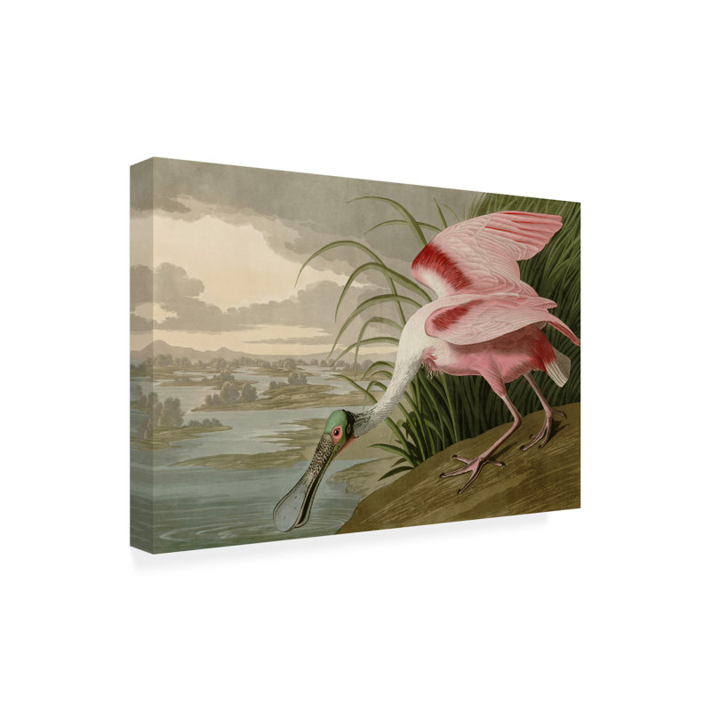 «Spatule rosée» par John James Audubon - reproduction sur toile, H 22 po x l 32 po x P 2 po