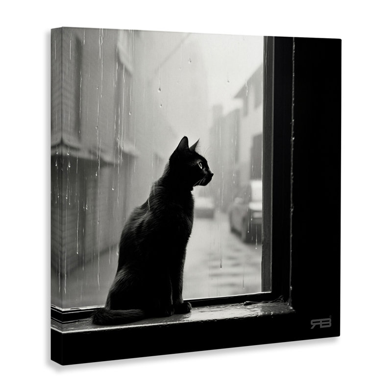 «Cat Cating Rainy Window», art mural par Roozbeh Bahramali, H 17 po x l 17 po