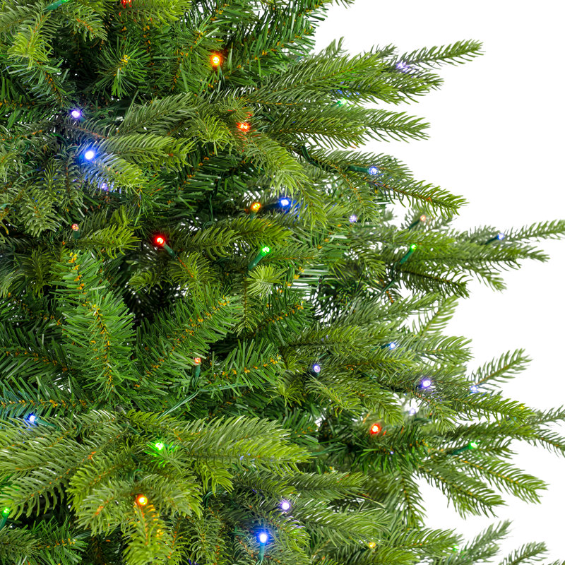 Sapin de Noël pré-éclairé Mcdaniel, H 6 pi