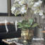 Orchid Floral Arrangement in Vase