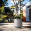 Grand pot à fleurs Brenno-310169912-293152733