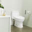 Washlet® Round Toilet Seat Bidet-10437248