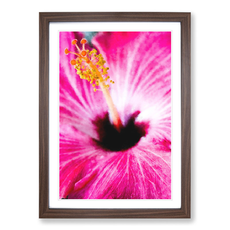 A Pink Flower - Picture Frame Graphic Art, Walnut Framed, 65cm H x 48cm W x 2cm D