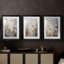 FLORAL Series CCCCXXI - Impression encadrée sur mesure de qualité supérieure - 3 pièces-1920043853-1920043852