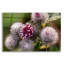«Autumn 09» par Gordon Semmens-1278044119