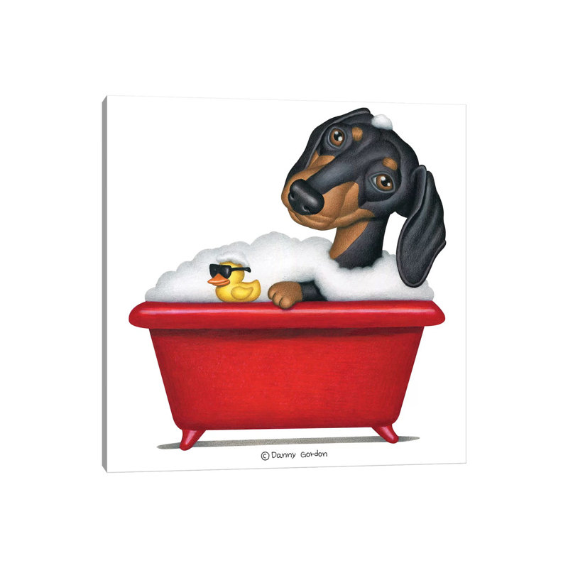 Black Dachshund In Red Tub by Danny Gordon - Wrapped Canvas Print, 30.48 cm H x 30.48 cm W
