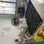 Photos des clients 1 de 1
