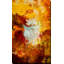 « battlefield of the mind », impression sur toile-16913049-26088786