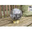 Cleavie Glass USB Globe Lamp