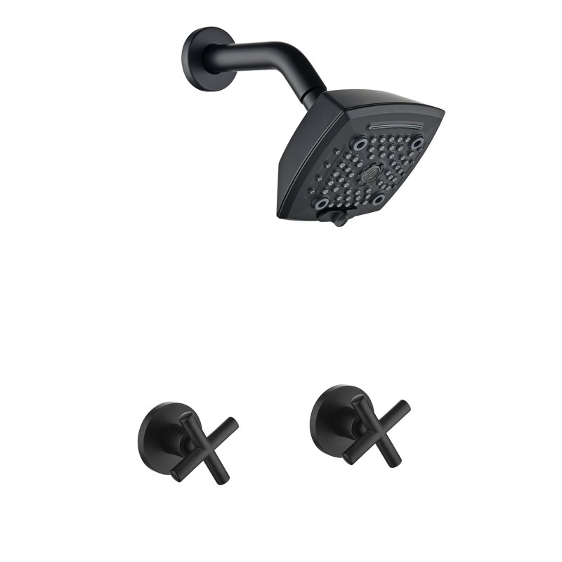 Ensemble de robinet de douche à 2 poignées avec pomme de douche à 6 jets et ensemble de garniture de douche avec robinet de salle de bain brut