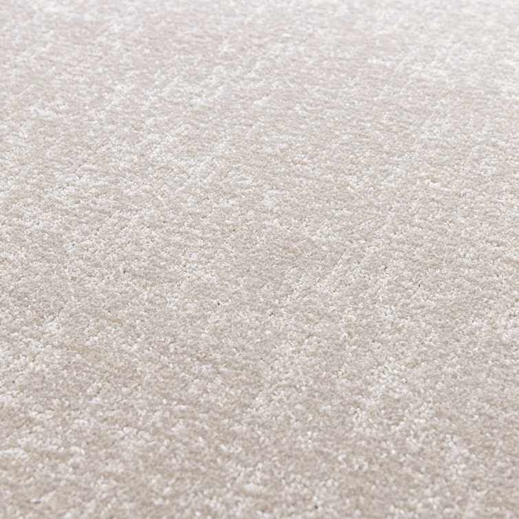 Mickail Machine Washable Tufted Area Rug